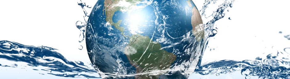 組織機(jī)構(gòu)